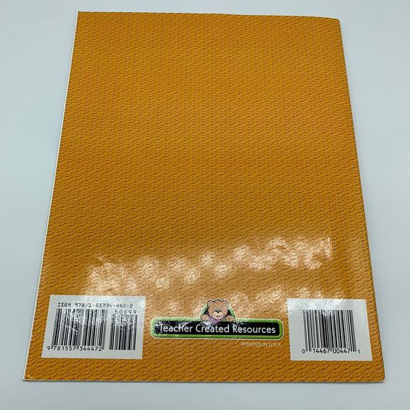 THE CAY by Theodore Taylor LITERATURE UNIT Teacher Resource Homeschool Lesson - Picture 7 of 7